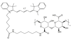 CY5-Alginate